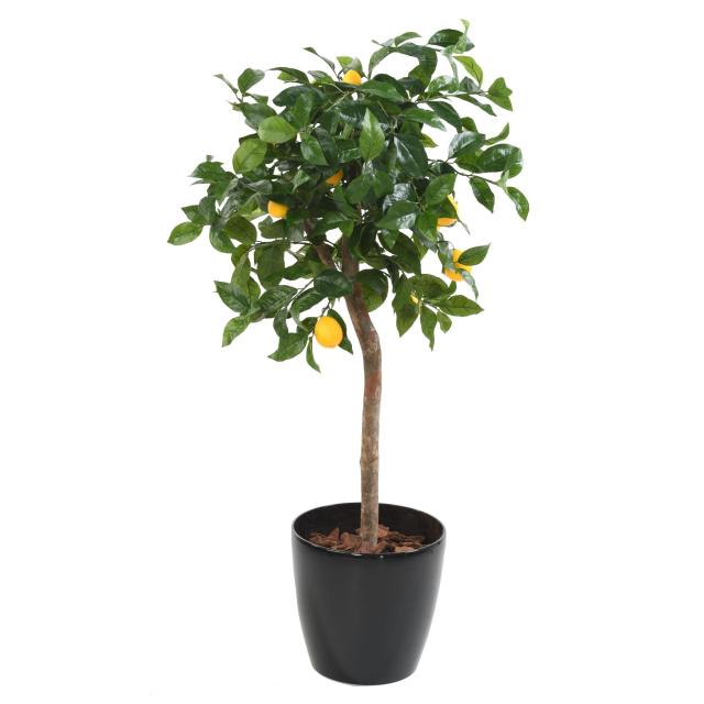 Citronnier Artificiel Tete - Citronnier Artificiel Tete